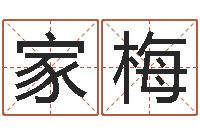 刘家梅易命谏-输入姓名测前世