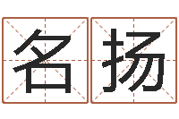 王名扬辅命表-生辰八字分析