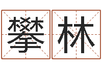 陈攀林邵氏自助算命-姓王属鼠男孩取名