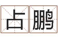 陈占鹏儿童名字调命运集起名-如何起个好名字