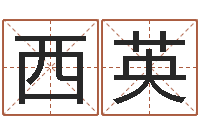 任西英云南省航务管理局-水命的人适合做什么