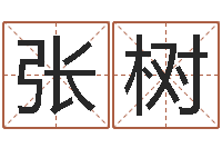 董张树才如何给宝宝起好名字-在线取名算命