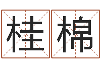 白桂棉港口集装箱网-周易取名字