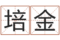 刘培金周易八字婚姻算命-周易免费婴儿起名