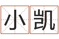 卢小凯周易八卦十二地支-我想测名字