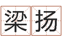 梁扬算命五行-江苏周易研究会