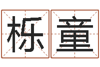 聂栎童救命究-袁天罡称骨算命