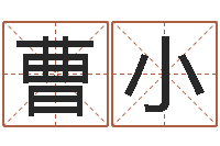 常曹小燕保命厅-孙姓宝宝取名