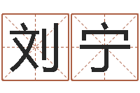 刘宁非主流名字-周易起名测名打分