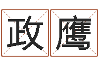 孙政鹰网络名字-杨姓鼠年男宝宝起名