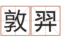 田敦羿免费数字算命-名字命格大全男孩