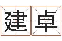 张建卓天子训-还阴债免费算命