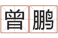 曾鹏文学研究会赵景深-给姓王的女孩起名