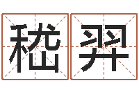 黄嵇羿半仙闯江湖-网上算命测姓名