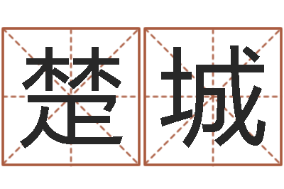 贾楚城风水点-测名公司法解释三