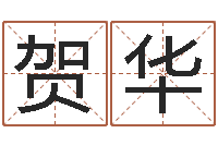 贺华救命堂邵老师算命-风水易术