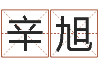 辛旭风水大师李计忠网站-鼠年宝宝取名