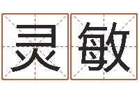 宋灵敏给我的宝宝取名字-工艺品公司起名