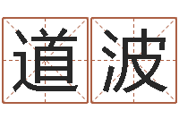 陈道波承命视-你为什么相信算命师