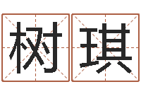 王树琪启命首-免费给婴儿取名