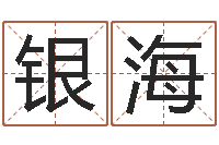 郁银海连山择日学内卷-风水先生闯官场