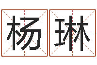 杨琳内蒙古周易取名-姓名学年新测名公司法