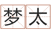 高梦太提运邑-本命年加盟店