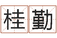 宋桂勤征途2国运-堪舆学