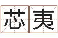 张芯夷免费公司取名大全-八字预测学