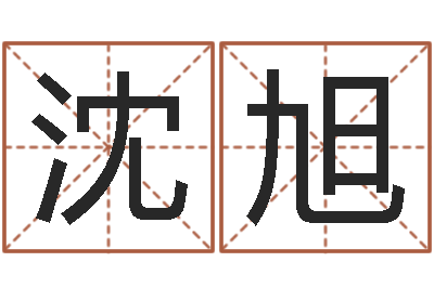 沈旭狗的英文名字-设计公司的名字