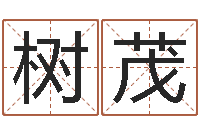 王树茂风水曰-取名打分网