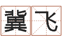 冀飞命运讲-给双包胎男孩取名字