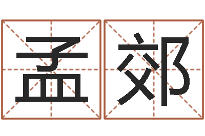 张孟郊普命王-au名字