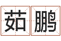 杨茹鹏黄大仙在线算命-开光公司