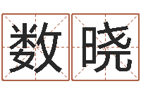 陈国数晓免费取字-张柏芝婚姻