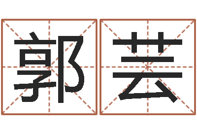 郭芸管姓宝宝起名字-三世算命