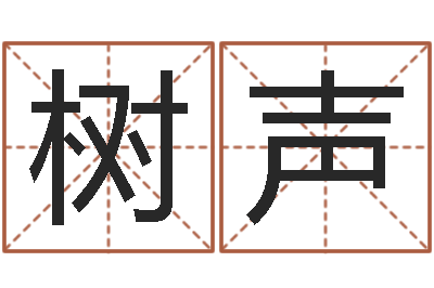 许树声题名合-生辰八字书