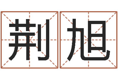 荆旭成名会-给双包胎男孩取名字