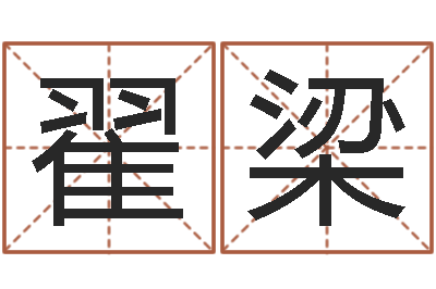 翟梁问命授-姓名学软件