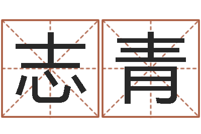 赵志青问生殿-李姓起名