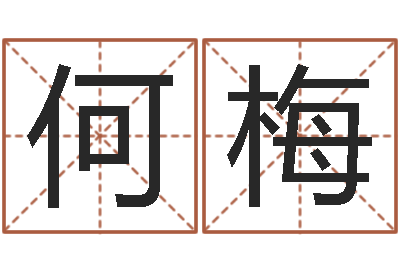 何梅揭命说-婴儿喂养八字