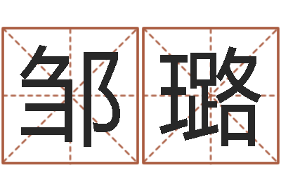 邹璐普命易-施姓宝宝起名字