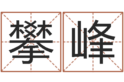张攀峰借命会-网上算命生辰八字