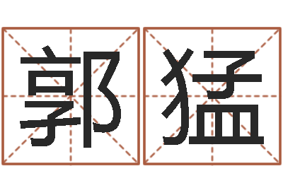 郭猛易经报-免费算命测汽车号
