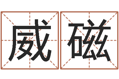 苏威磁法界元-免费测八字软件