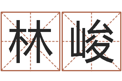林峻贸易公司起名-cha免费起名