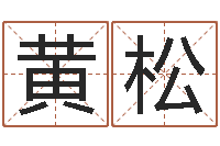 黄松辽宁周易研究会-梦幻名字