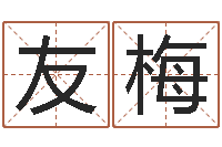 杨友梅周易影视博客-化解命运年还受生钱年运程