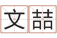 张文喆周易免费名字打分-时辰怎么算