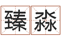 谢臻淼公司起名笔画-为奥宝宝取名